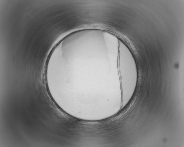 X0000116381184201001131802