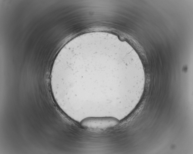 X0000116381185201001131802