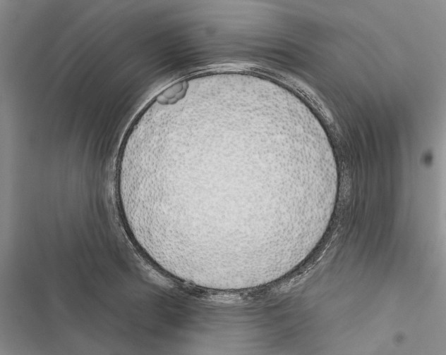 X0000116381186201001131802