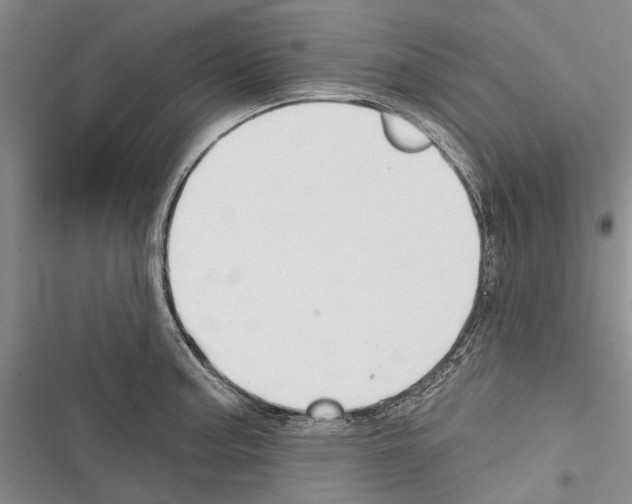 X0000116381187201001131802