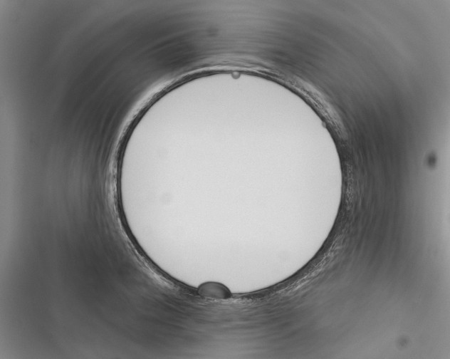 X0000116381188201001131802