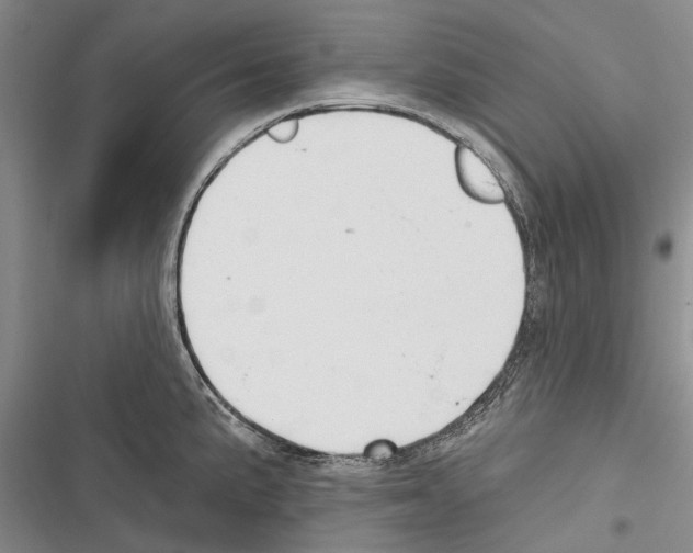 X0000116381191201001131802