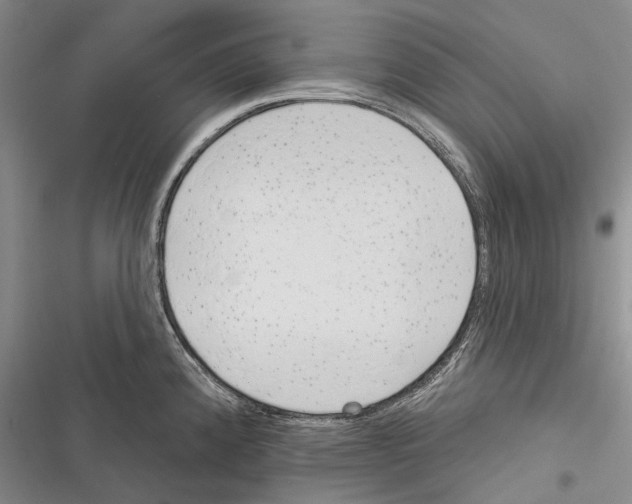 X0000116381192201001131802