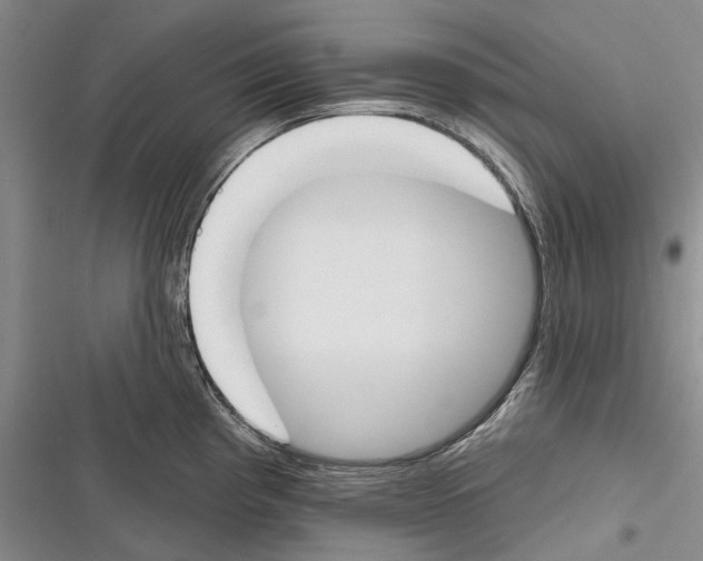 X0000116381193201001131802