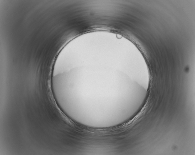 X0000116381194201001131802