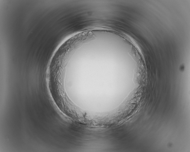 X0000116381195201001131802