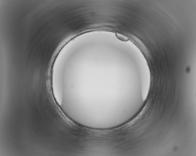 X0000116381196201001131802