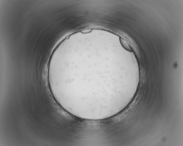 X0000116381198201001131802