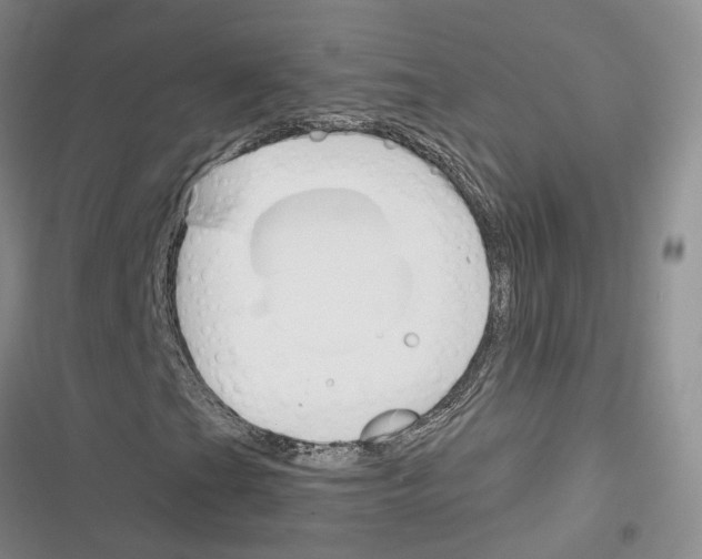 X0000116381201201001131801