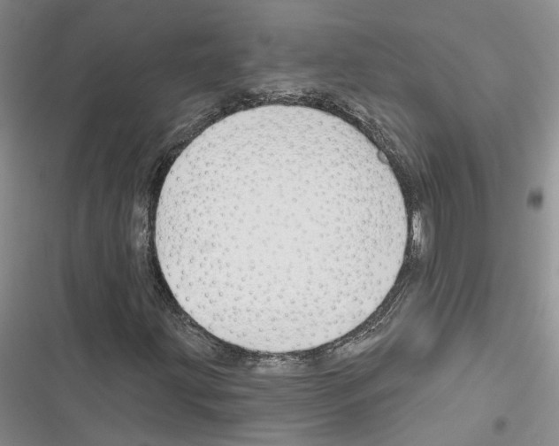 X0000116381203201001131801