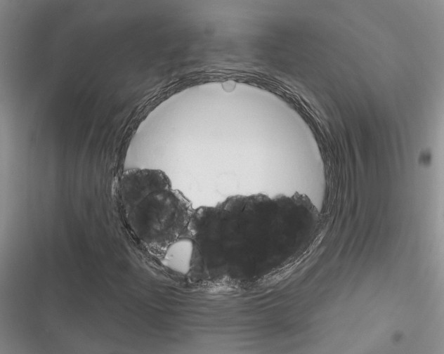 X0000116381204201001131801