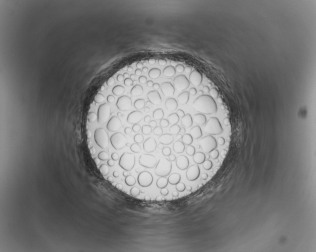 X0000116381205201001131801