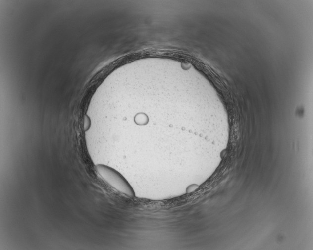 X0000116381206201001131801
