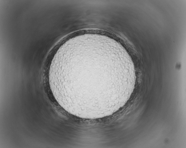 X0000116381208201001131801