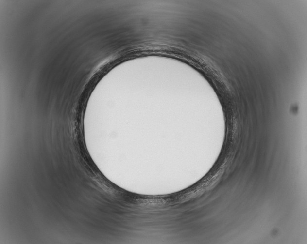 X0000116381210201001131801