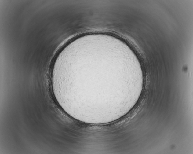 X0000116381212201001131801