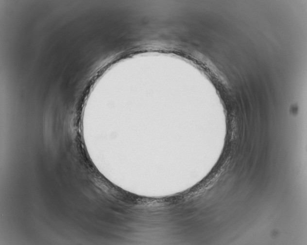 X0000116381213201001131801