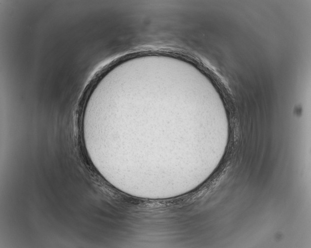 X0000116381214201001131801