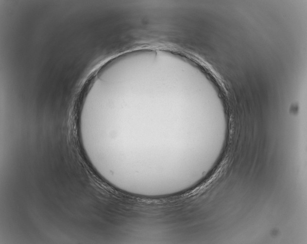 X0000116381215201001131801