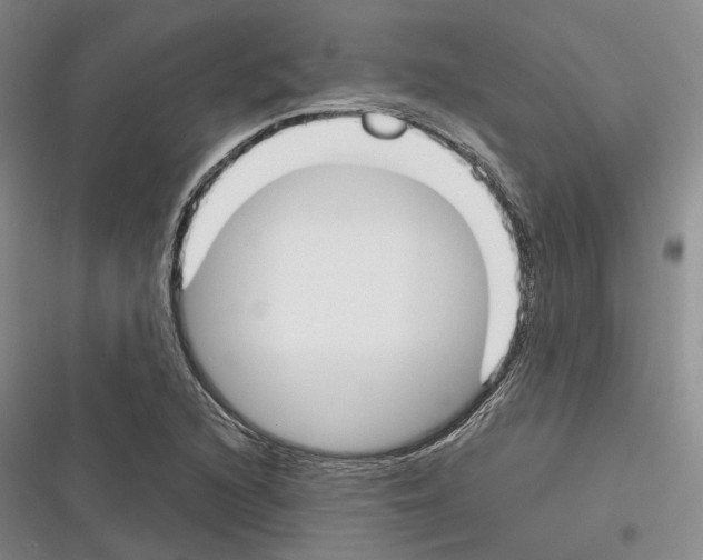 X0000116381216201001131801