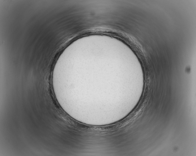X0000116381217201001131801