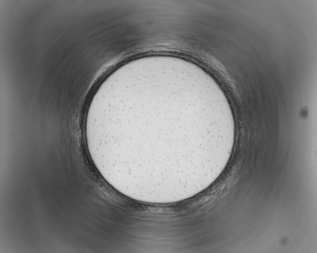 X0000116381218201001131801