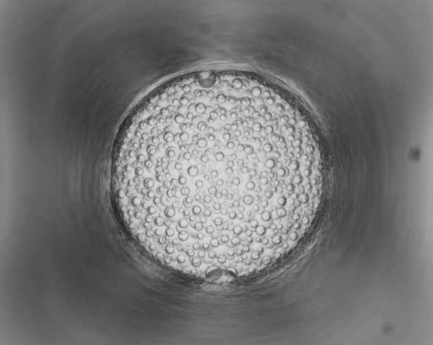 X0000116381220201001131801