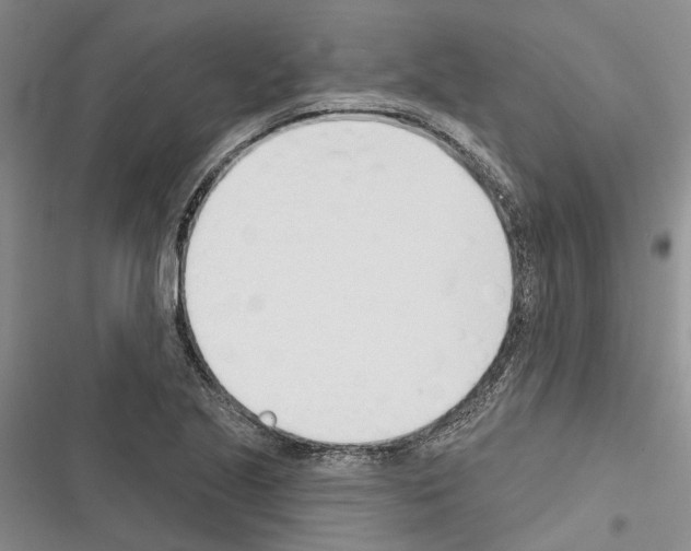 X0000116381221201001131801