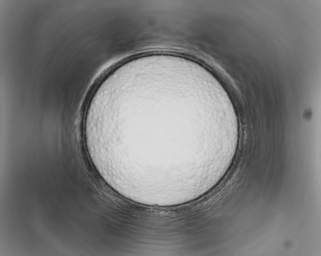 X0000116381222201001131801