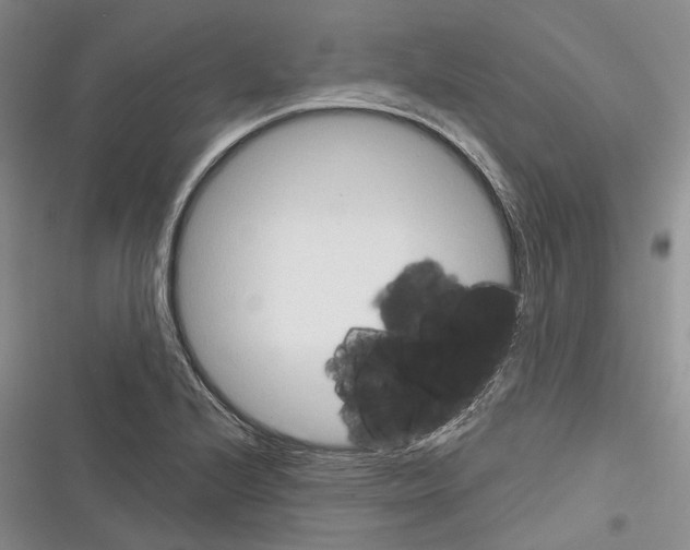 X0000116381224201001131801