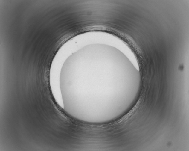 X0000116381225201001131801