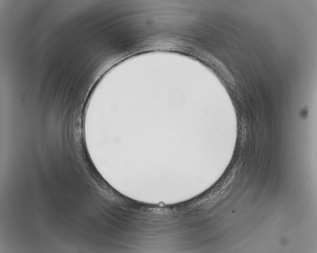 X0000116381226201001131801