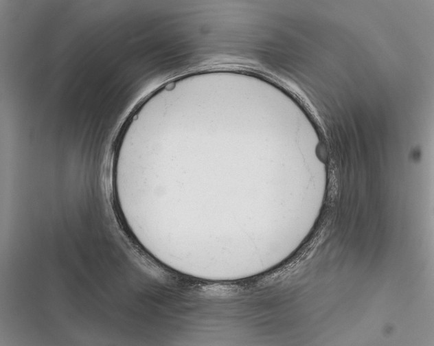 X0000116381227201001131801