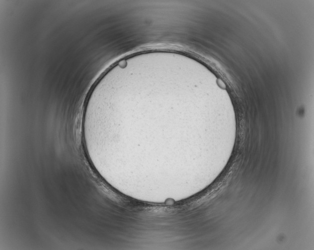 X0000116381228201001131801