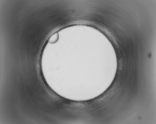 X0000116381229201001131801
