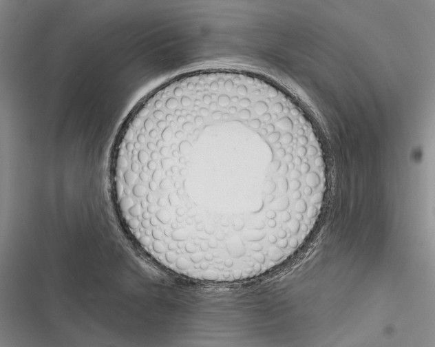 X0000116381230201001131801