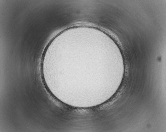 X0000116381231201001131801