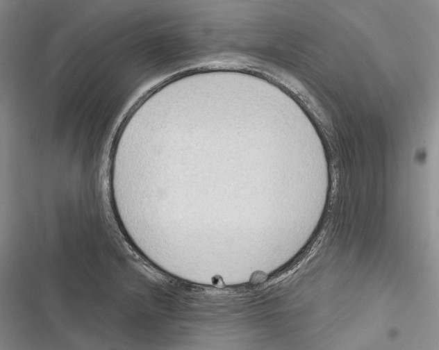 X0000116381232201001131801