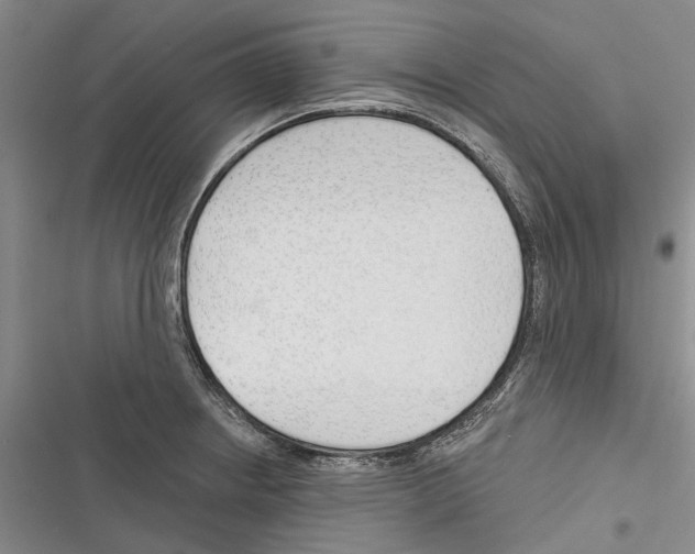 X0000116381234201001131802