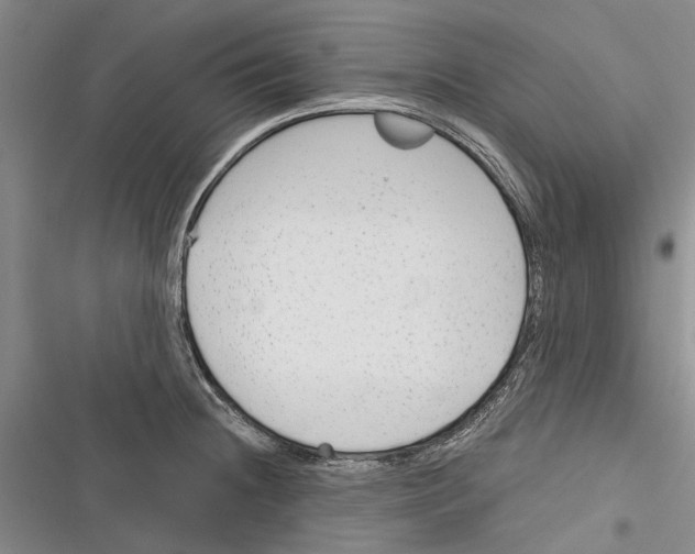 X0000116381236201001131802