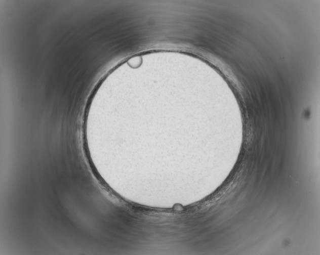 X0000116381237201001131802