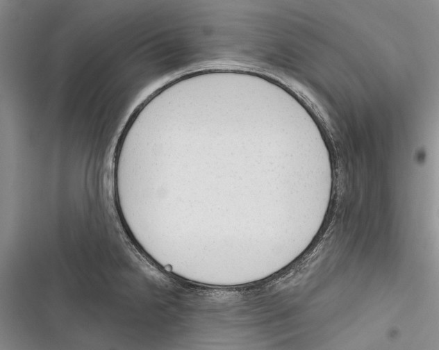 X0000116381238201001131802