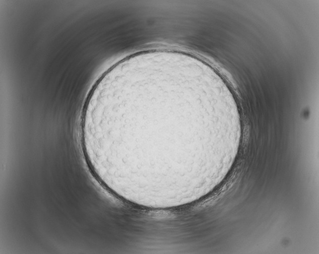 X0000116381239201001131802