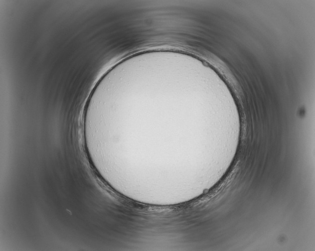 X0000116381242201001131802