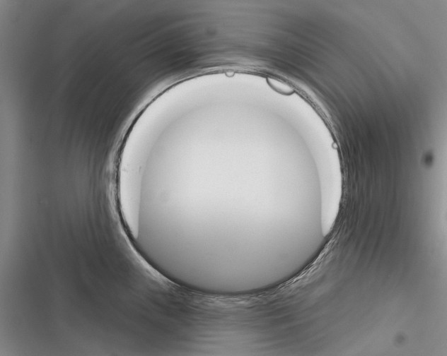 X0000116381243201001131802
