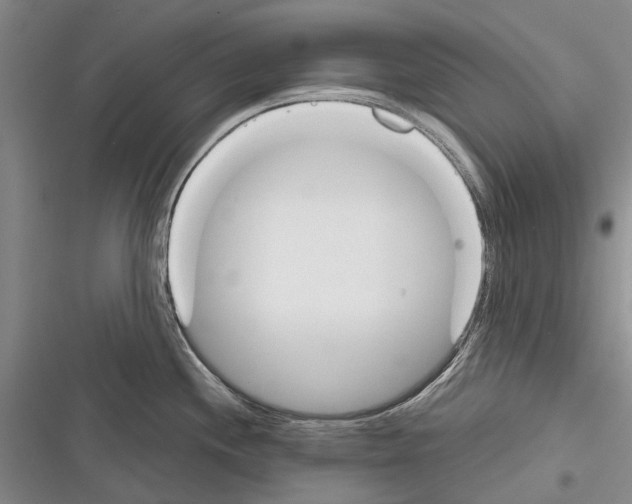 X0000116381244201001131802