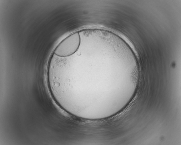 X0000116381245201001131802