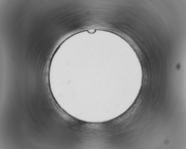 X0000116381246201001131802