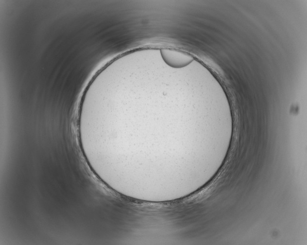 X0000116381248201001131802