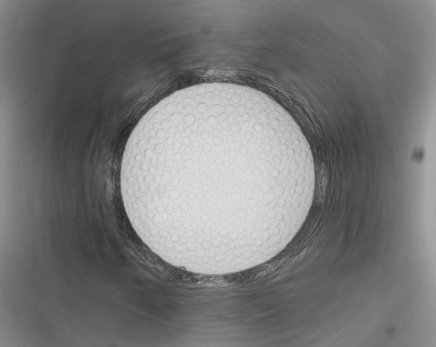 X0000116381250201001131801